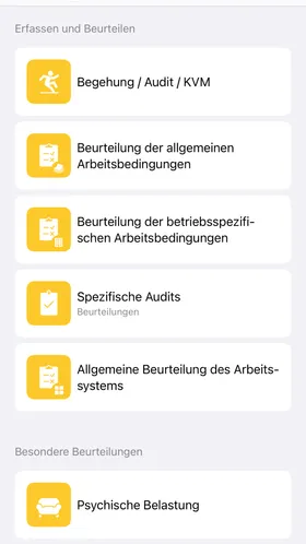Übersicht der Beurteilungen: Begehung und Audit, allgemeine und betriebsspezifische Arbeitsbedingungen, spezifische Audits.