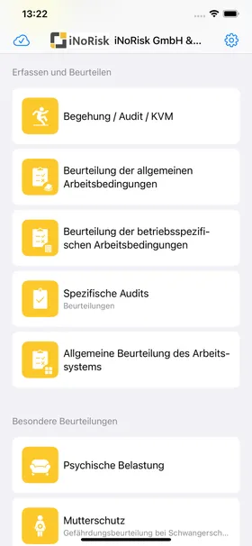Übersicht der Beurteilungen: Begehung und Audit, allgemeine und betriebsspezifische Arbeitsbedingungen, spezifische Audits.