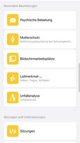 Besondere Beurteilungen wie psychische Belastung, Mutterschutz und Bildschirmarbeitsplätze, darunter Sitzungen und Unterweisungen.